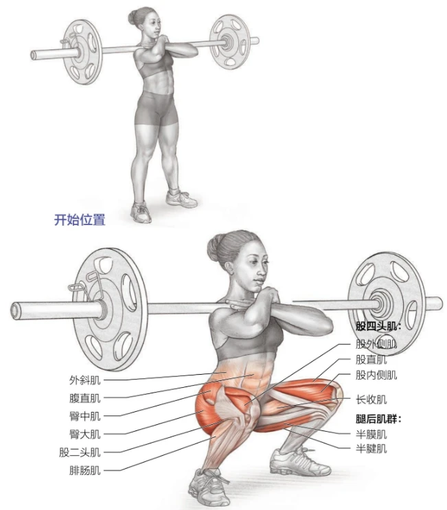 为什么模拟训练是篮球发展的重要环节_0
